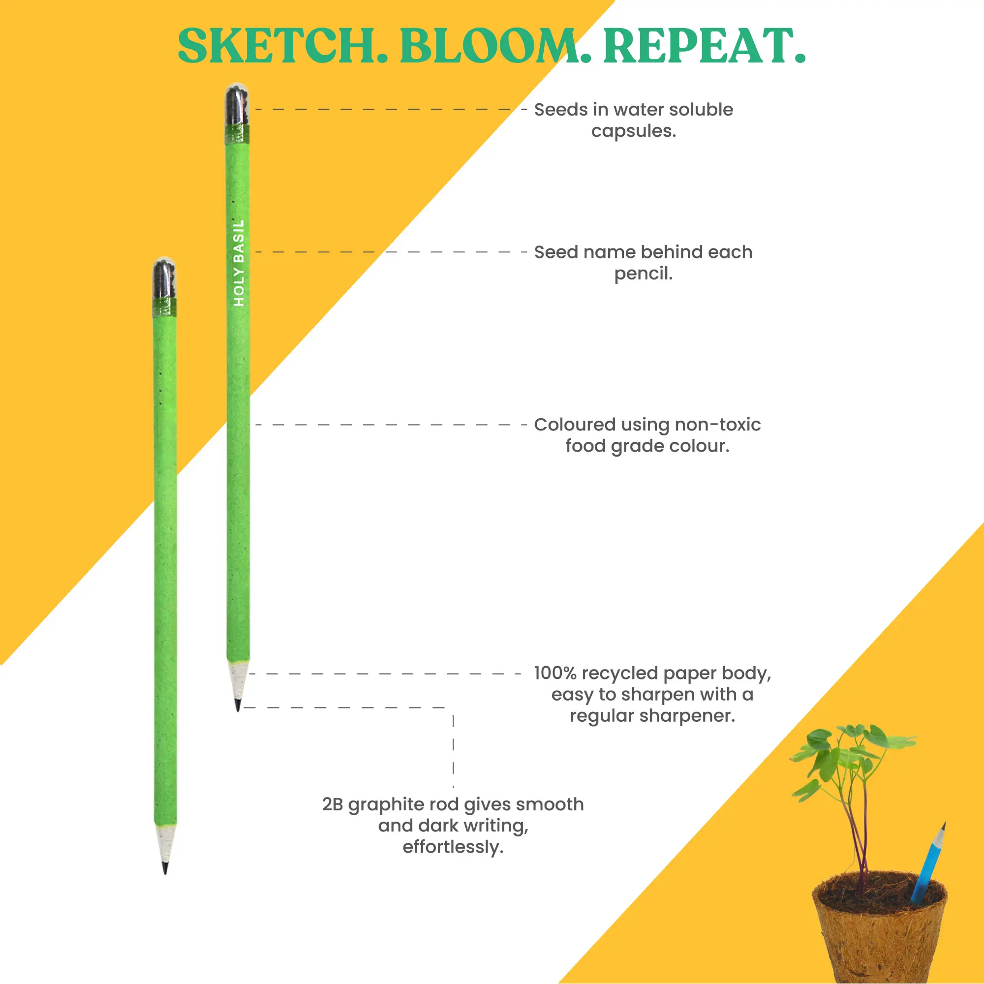 Annotated diagram of a green holy basil seed pencil showing the seed capsule, printed seed name, food-grade colour, recycled paper body and 2B graphite core
