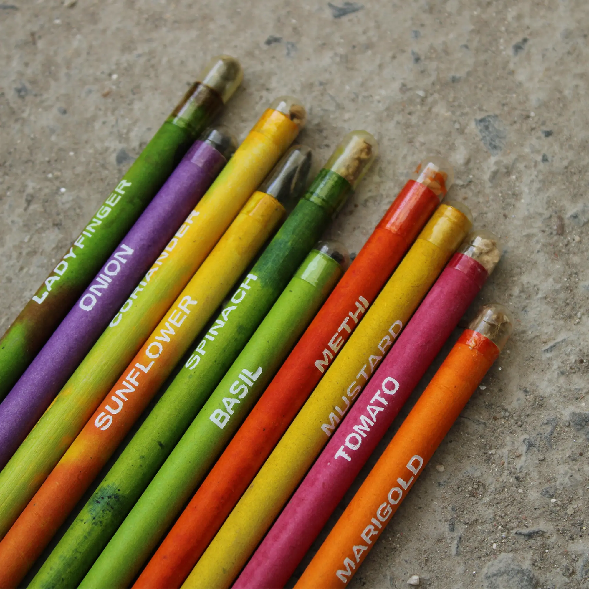 Ten seed pencils fanned out on a stone surface with lady finger, onion, coriander, sunflower, spinach, basil, methi, mustard, tomato and marigold printed along the bodies