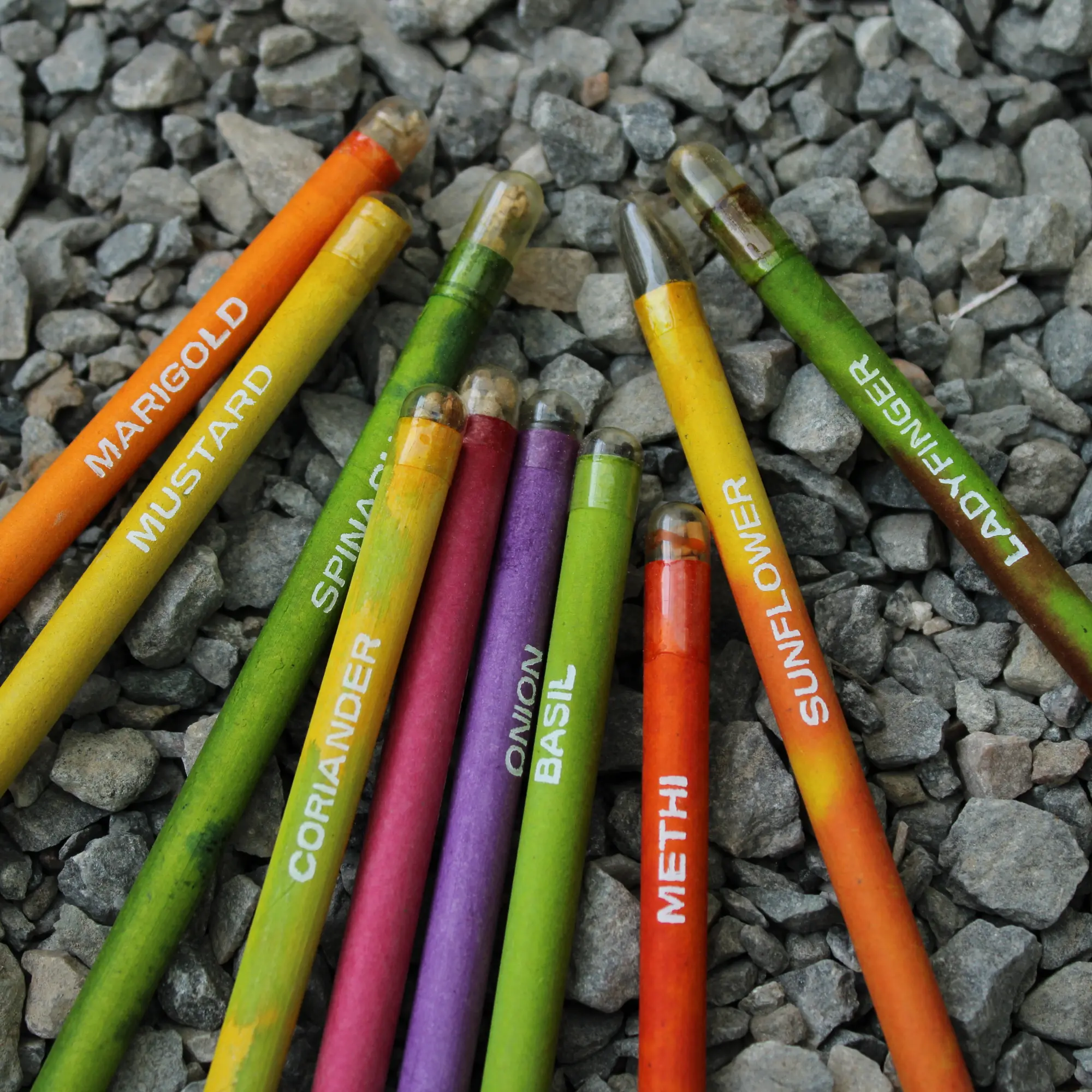 Plantable seed pencil set
