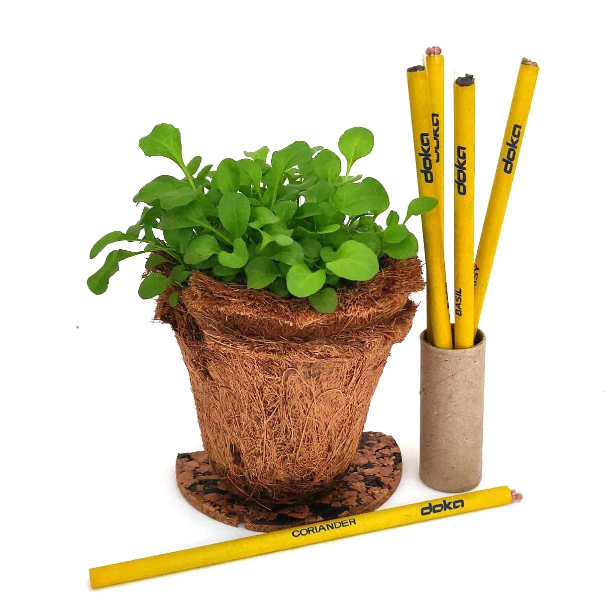 A branded example of the plantable pencil set