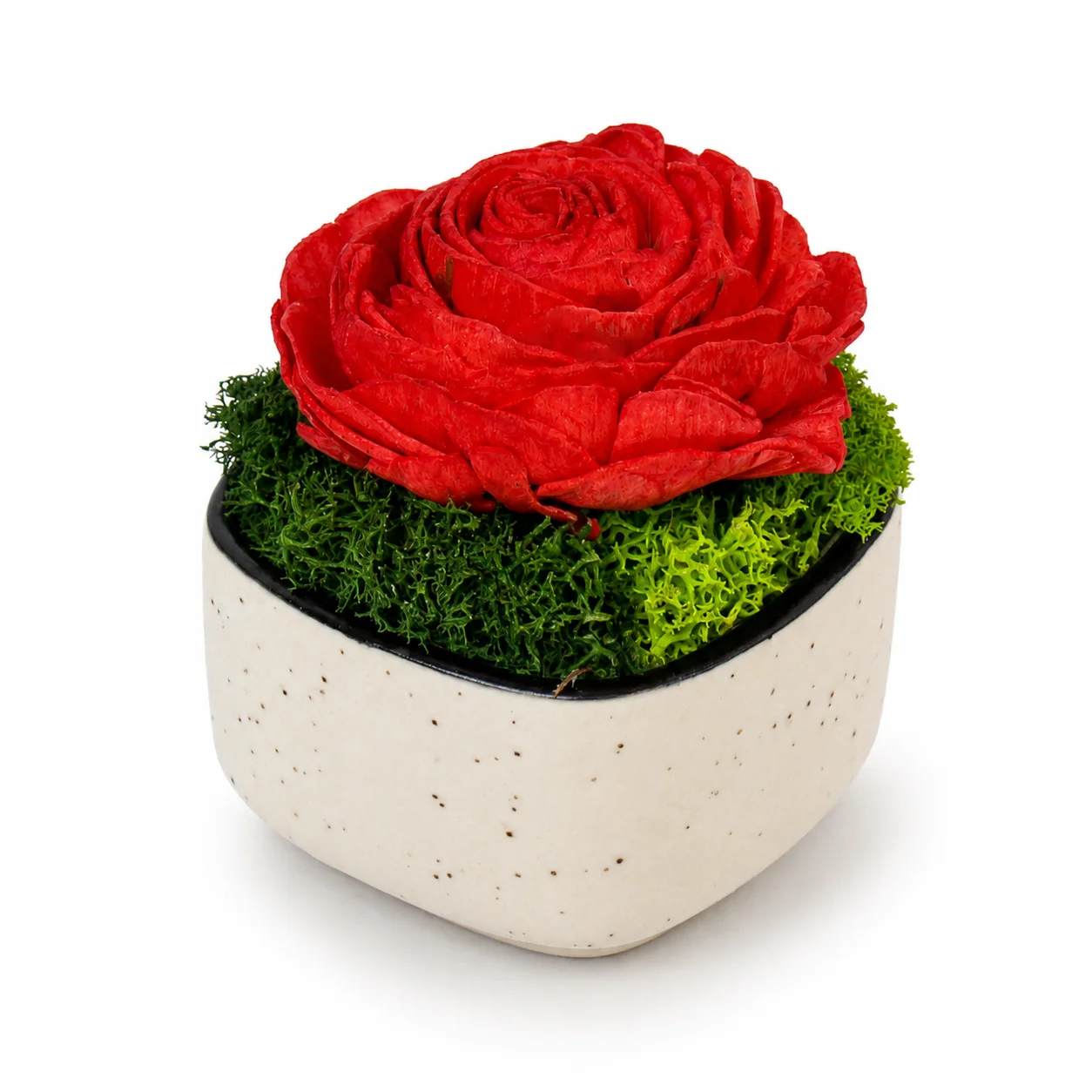 Preserved botanical Ceramic Forest Bowl for festival gifting