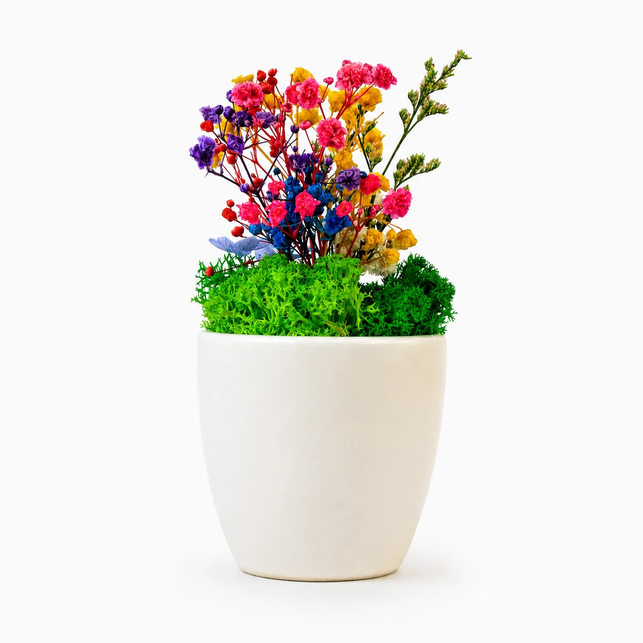 Ceramic Flower Pot