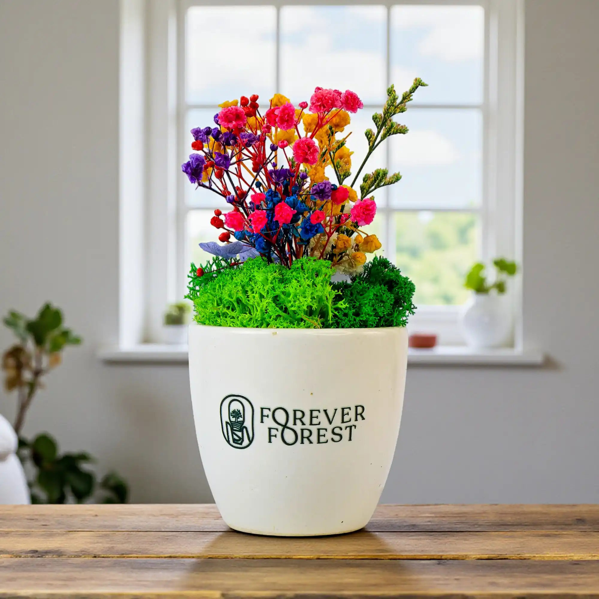 Ceramic Flower Pot