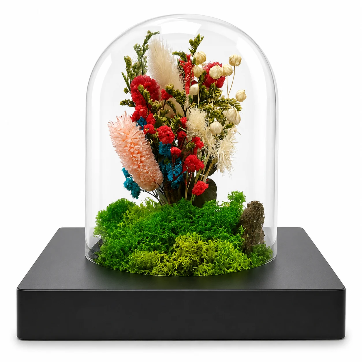 Garden Dreams Dome