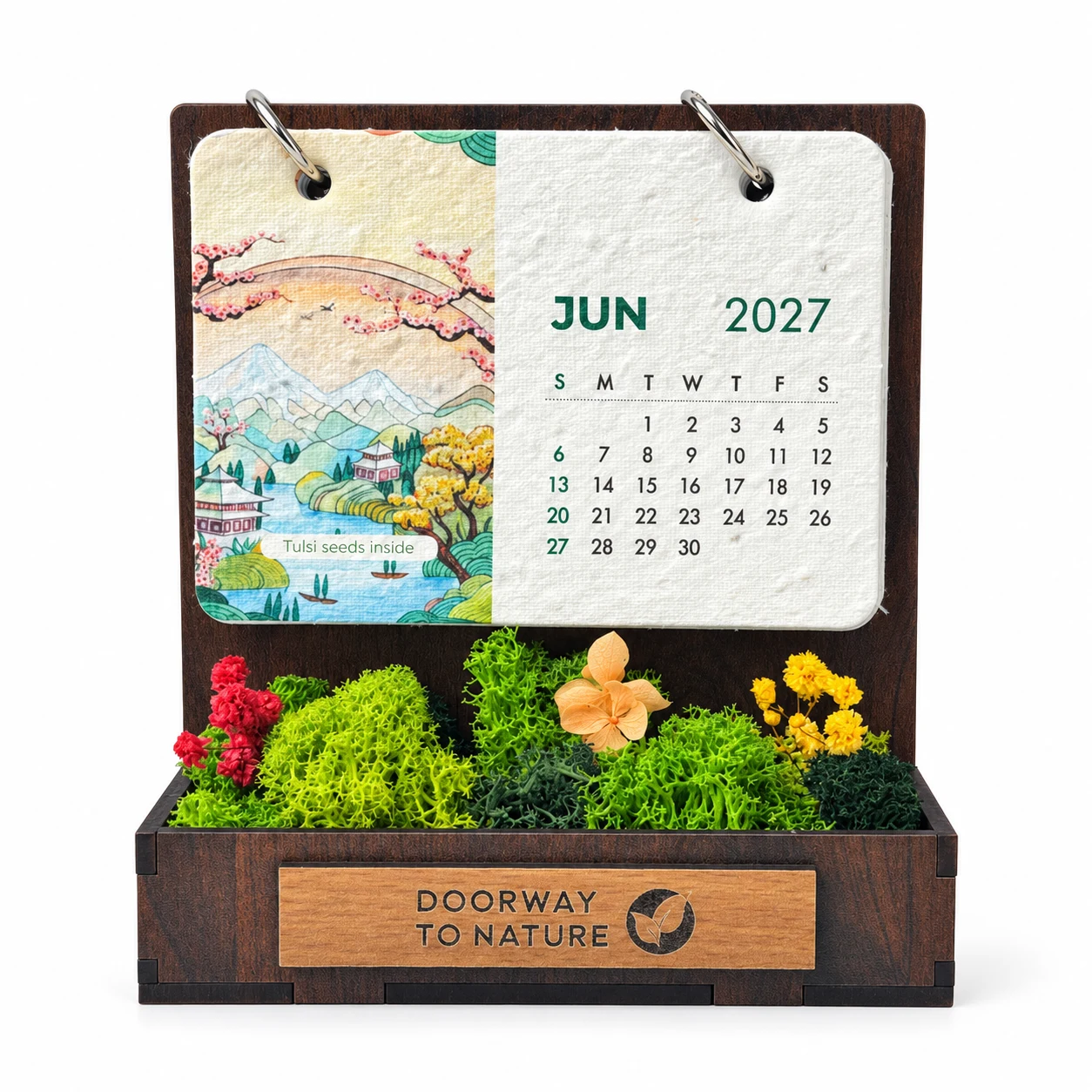 Front view of the Forest Garden Desk Calendar: a June 2027 seed-paper sheet on two metal rings above a tray of preserved moss and flowers with an engraved wooden plate