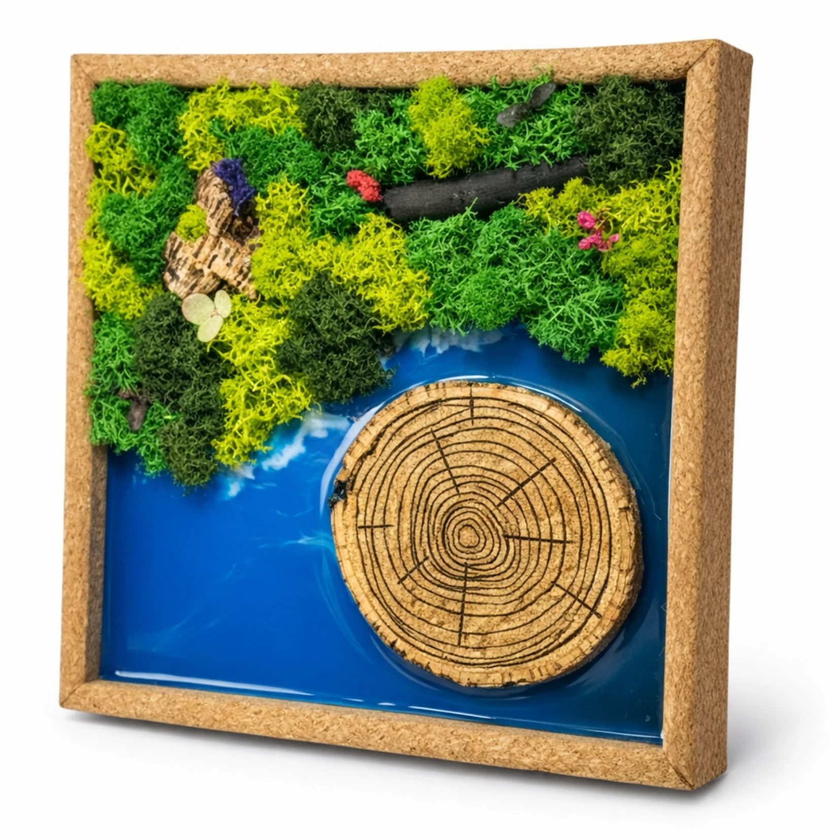 Forest Aqua Chronicles Classic