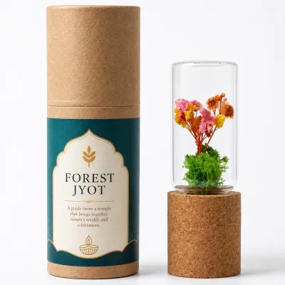 Forest Pod (Diwali)