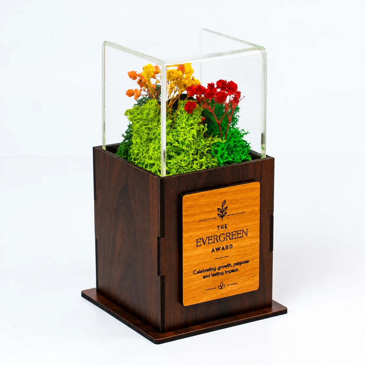 Acrylic Forest Terra Award