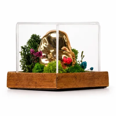 Forest Terra Ganesha Mini