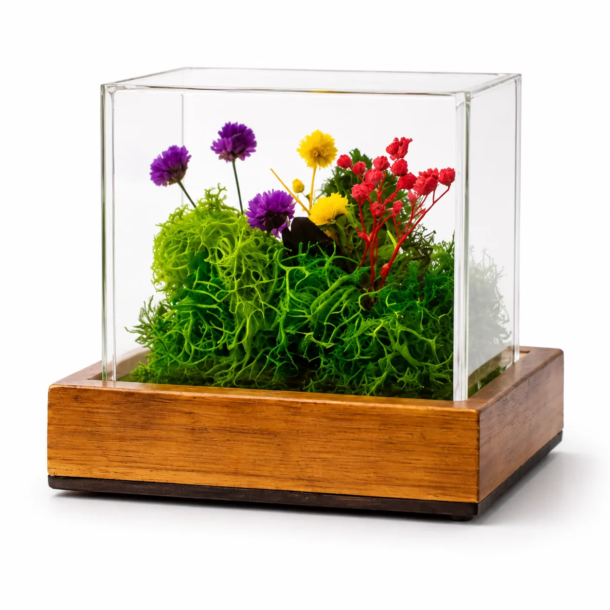 Forest Terrarium Cube