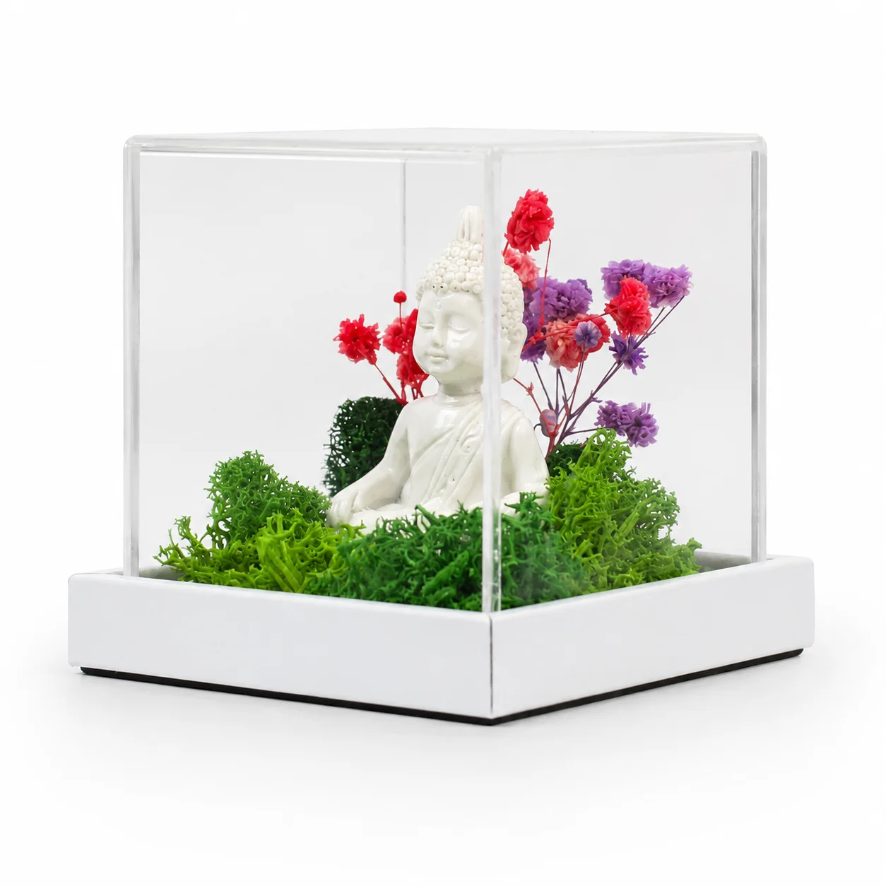 Forest Terrarium 3x3 with Buddha