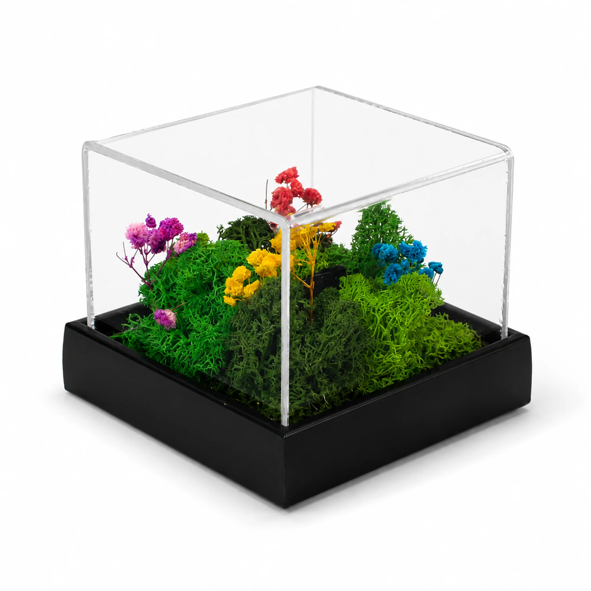 Forest Terrarium Desktop with preserved moss and flowers under clear acrylic