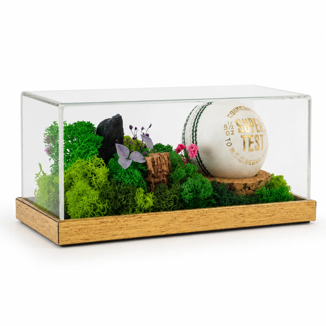 Forest Terrarium 8" x 4" (Your object)
