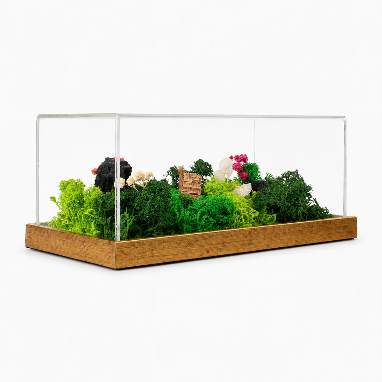 Forest Terrarium Landscape