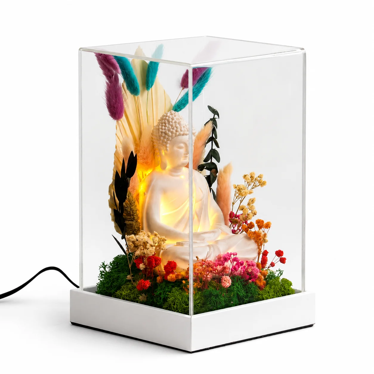 Forest Terrarium 9x5 (Lighting) with Buddha