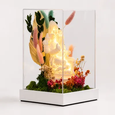 Forest Terrarium 9x5 (Lighting) with Ganesha