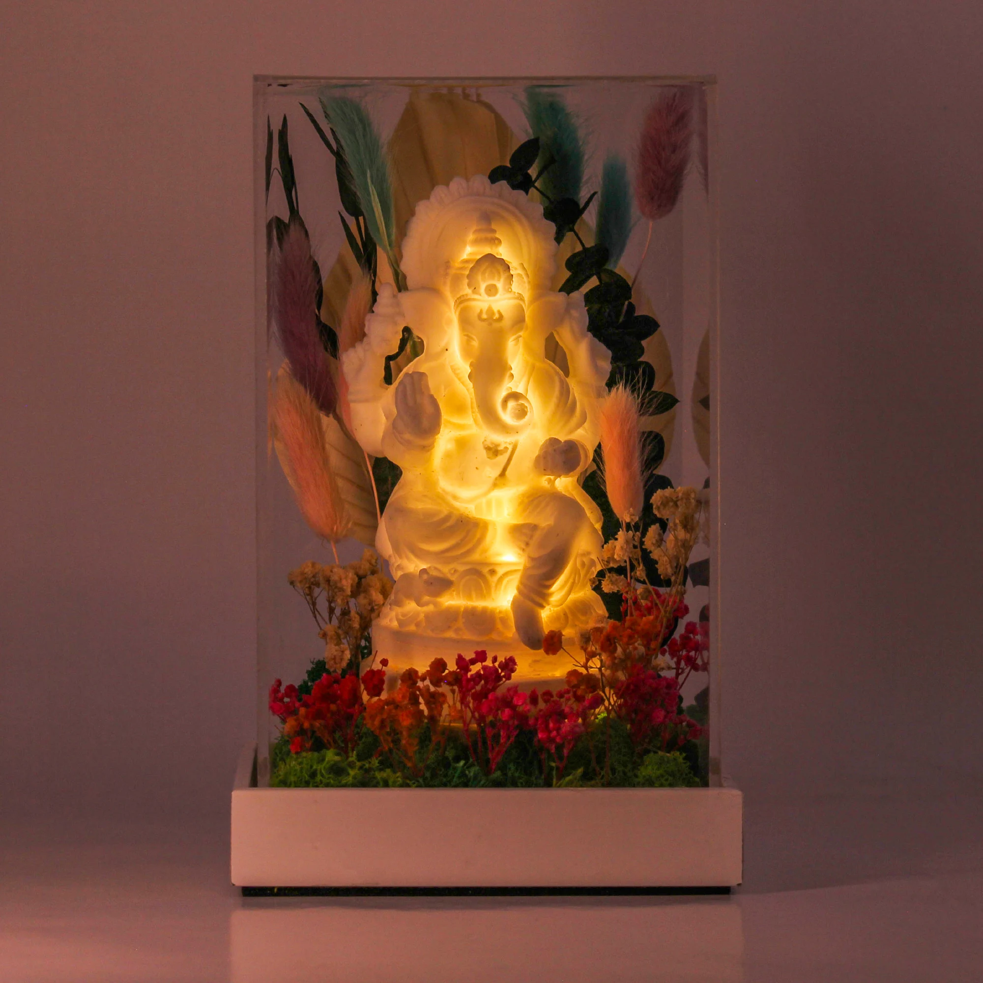 Front view of the illuminated Ganesha terrarium