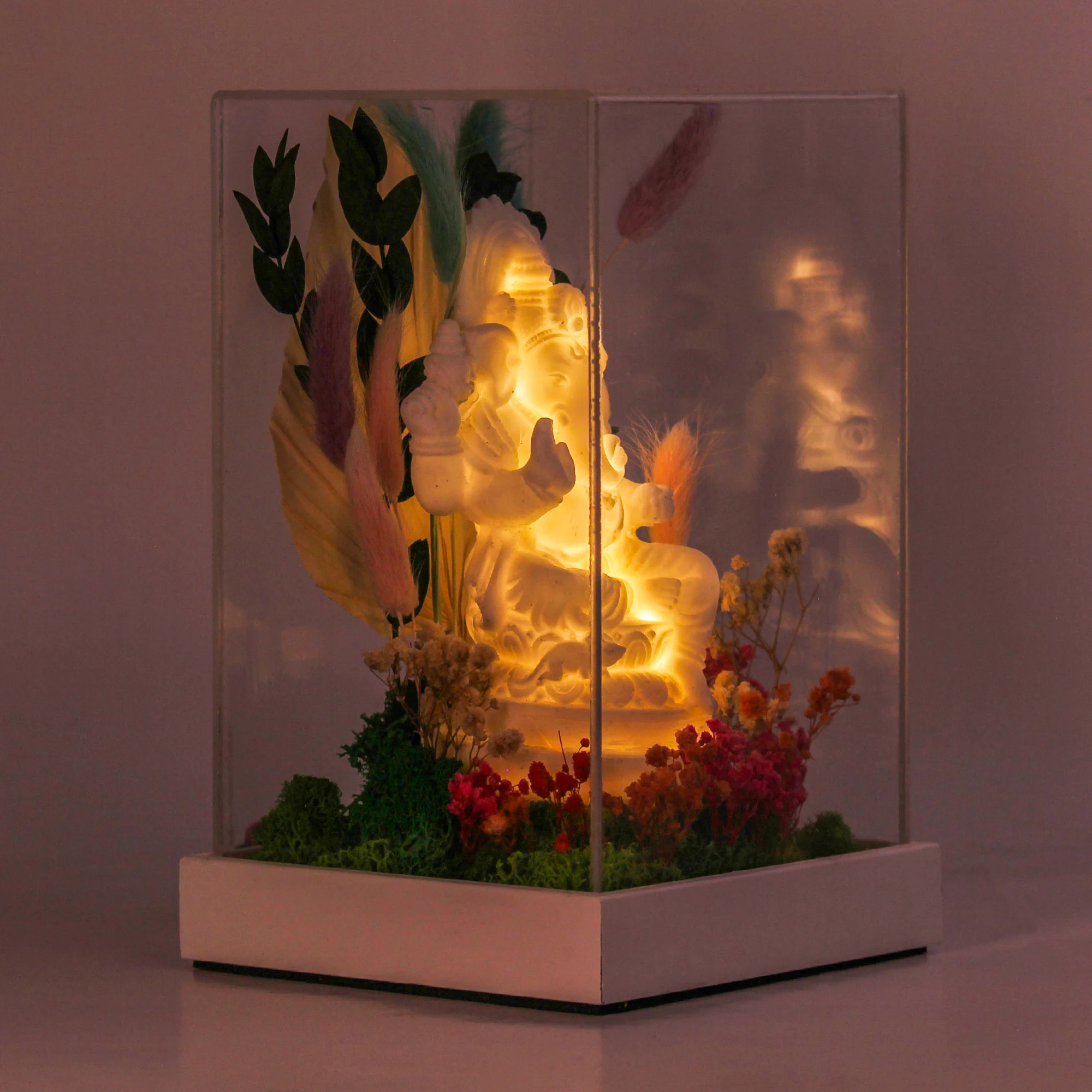 Illuminated Ganesha terrarium viewed in a low-light setting