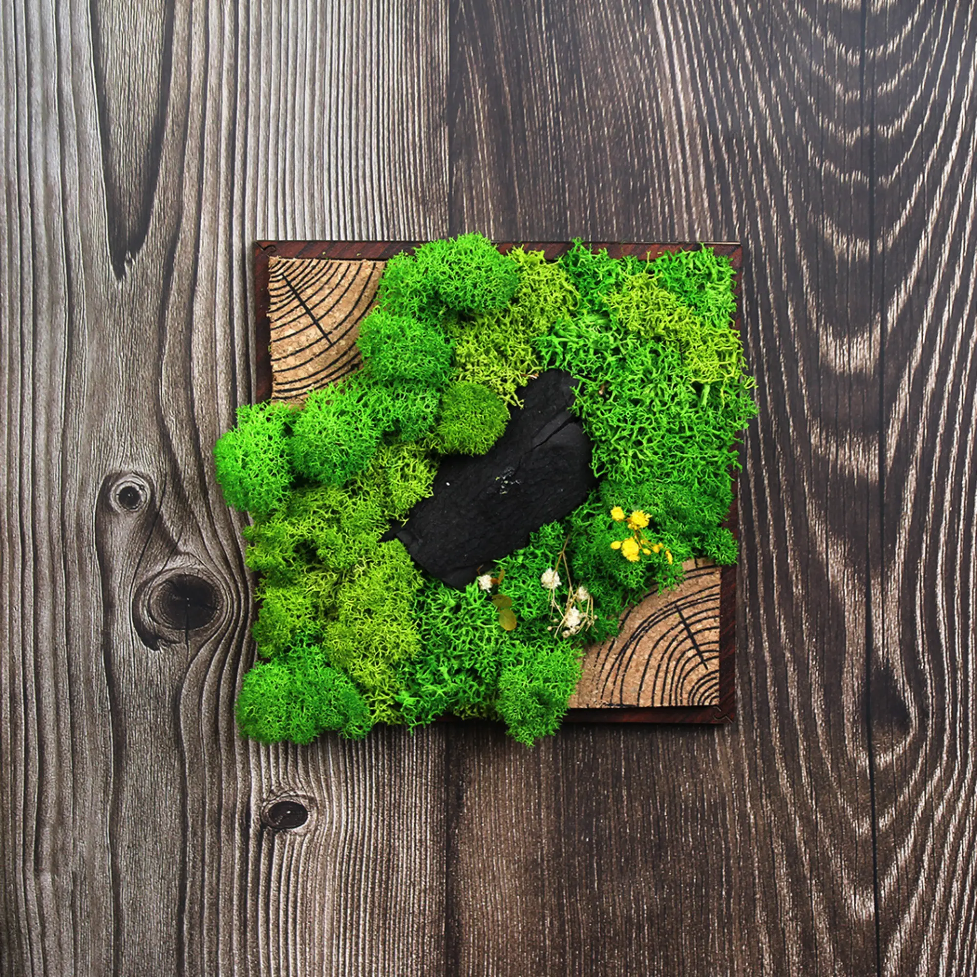 Forest Tile Panorama for recognition and milestone gifting