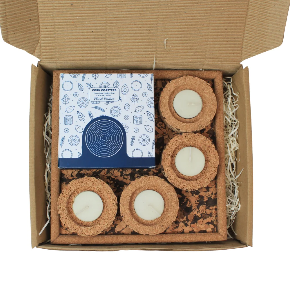 Top view of the SC801 components arranged inside the folding box