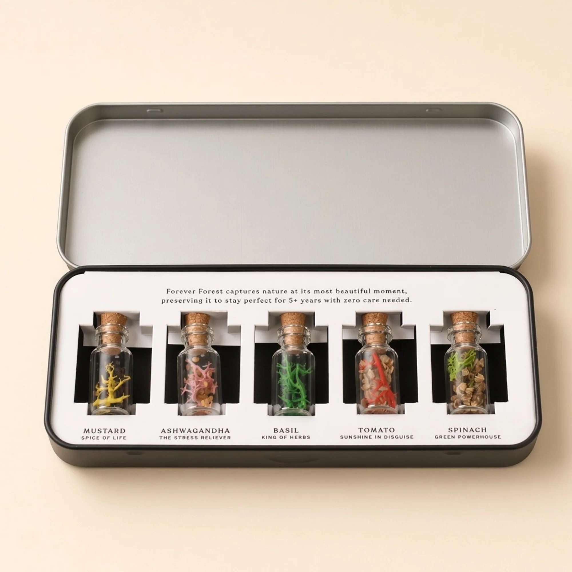 Five glass seed bottles in the Forest Sparkle festive tin
